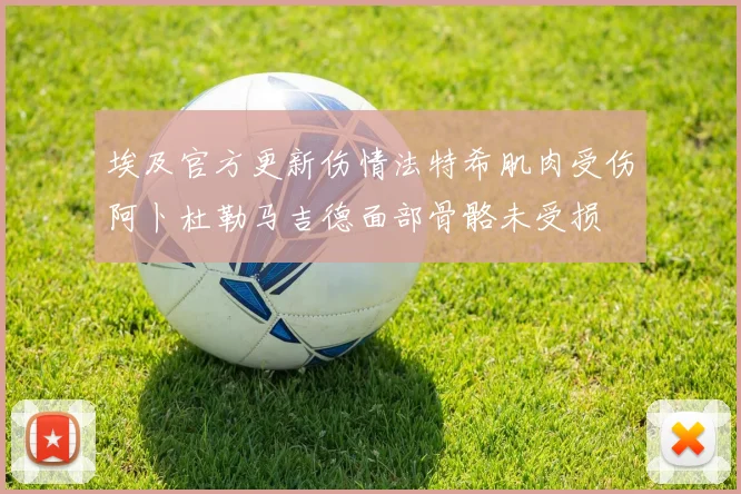 埃及官方更新伤情法特希肌肉受伤阿卜杜勒马吉德面部骨骼未受损