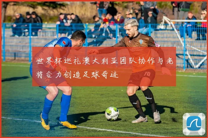 世界杯巡礼澳大利亚团队协作与老将合力创造足球奇迹